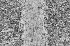 Cubist Study: Sculpture