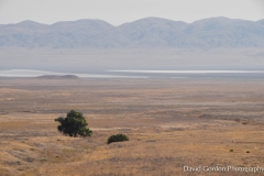 Soda Lake