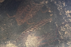 Chumash Pictographs