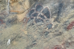 Chumash Pictographs