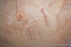Chumash Pictographs
