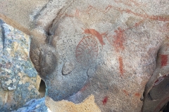 Chumash Pictographs