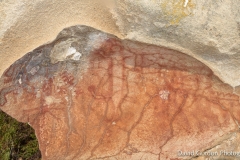 Chumash Pictographs