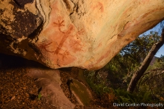 Chumash Pictographs