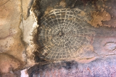 Painted Rock Pictograph