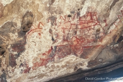 Chumash Pictographs