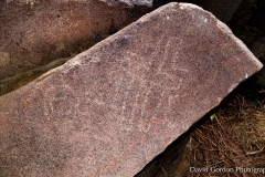 petroglyphs_47835607772_o