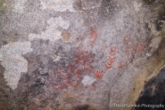 Pictographs