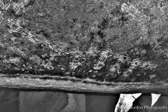 Pictographs