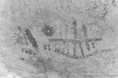 pictographs_47998487678_o