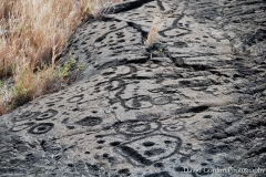 puu-loa-petroglyphs_25508838358_o