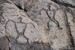 puu-loa-petroglyphs_27601372059_o