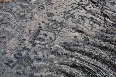 puu-loa-petroglyphs_39378231011_o